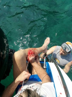 PAY-NEWSLINK3256567_83745.jpg (85.73KiB)Przejrzano 95561 razy PAY-NEWSLINK3256567_83745.jpg